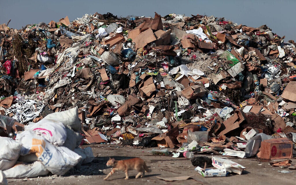 الكشف عن وجود جسيمات بلاستيكية دقيقة في سائل المبيض البشري بمنطقة المتوسط